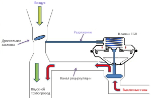 На фото - система ЕГР, autoeco.info