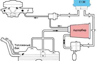 Адсорбер системы улавливания топливных паров – как работает и от чего ломается деталь