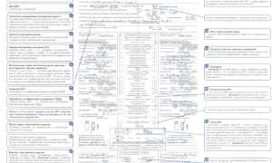 Как правильно оформить европротокол при дтп и получить выплату