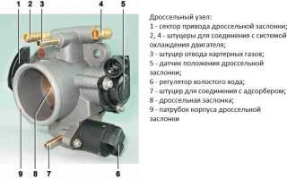 Все аспекты выбора и использования очистителя дроссельной заслонки