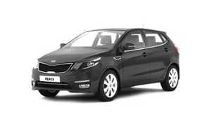 Ресурс двигателя 1.6 Kia Rio