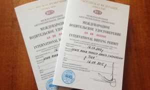 Международные водительские права: полезная информация