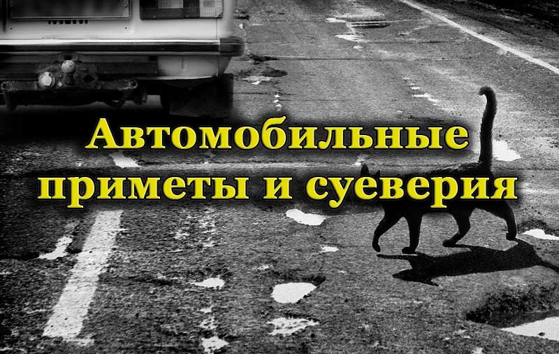 Черная кошка на дороге