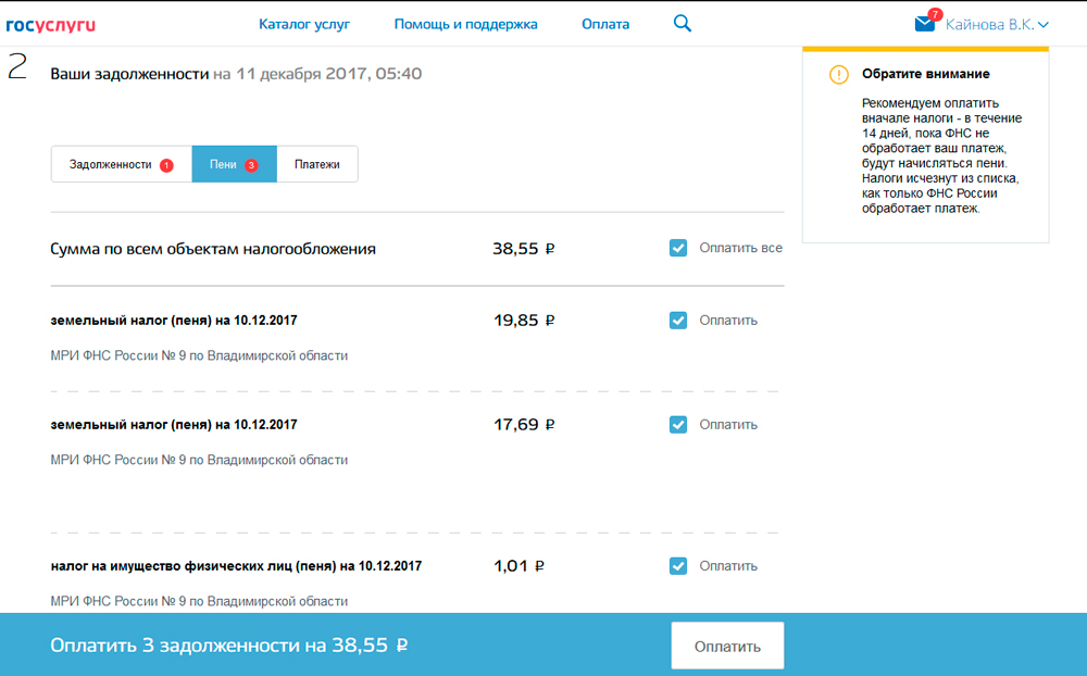 Оплата через портал Госуслуг
