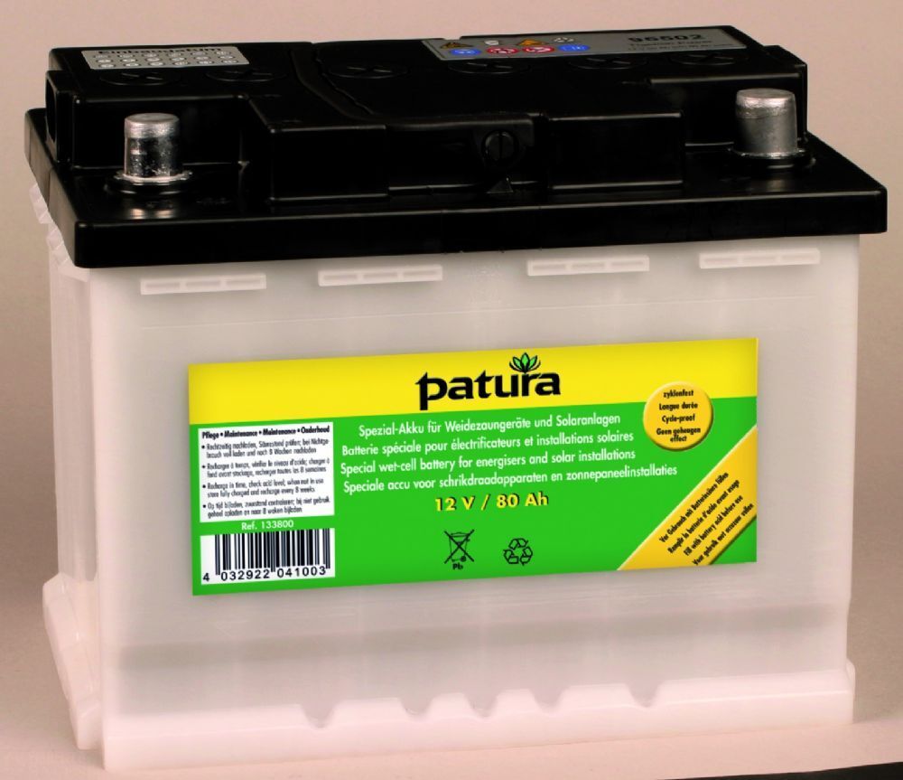 WET Cell Battery