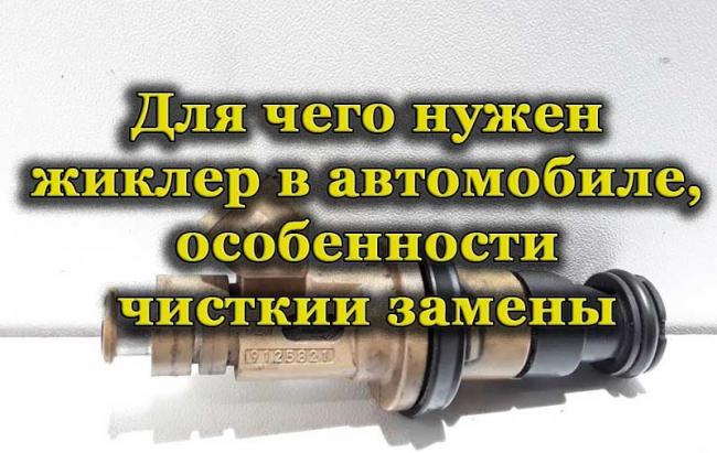 Внешний вид жиклера для автомобиля
